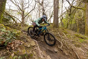 Auckland Cycle Works Marra descending technical woodland trail Rider descending a steep, rocky woodland trail on the blue Auckland Cycle Works Marra mountain bike