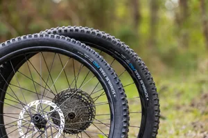 Schwalbe Romy Trail Pro Radial Soft tyre profile Pair of Schwalbe Romy Trail Pro Radial Soft mountain bike tyres mounted on wheels in a woodland setting.