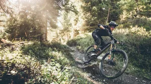 raaw-madonna-highres-1-1507740136845-1umsbianjwp1j-8207eae Yeah, we'd rather like to go and ride their trails