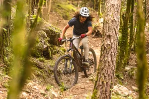 Orbea Wild LT M-LTD RS being ridden through forest Orbea Wild LT M-LTD RS being ridden through forest