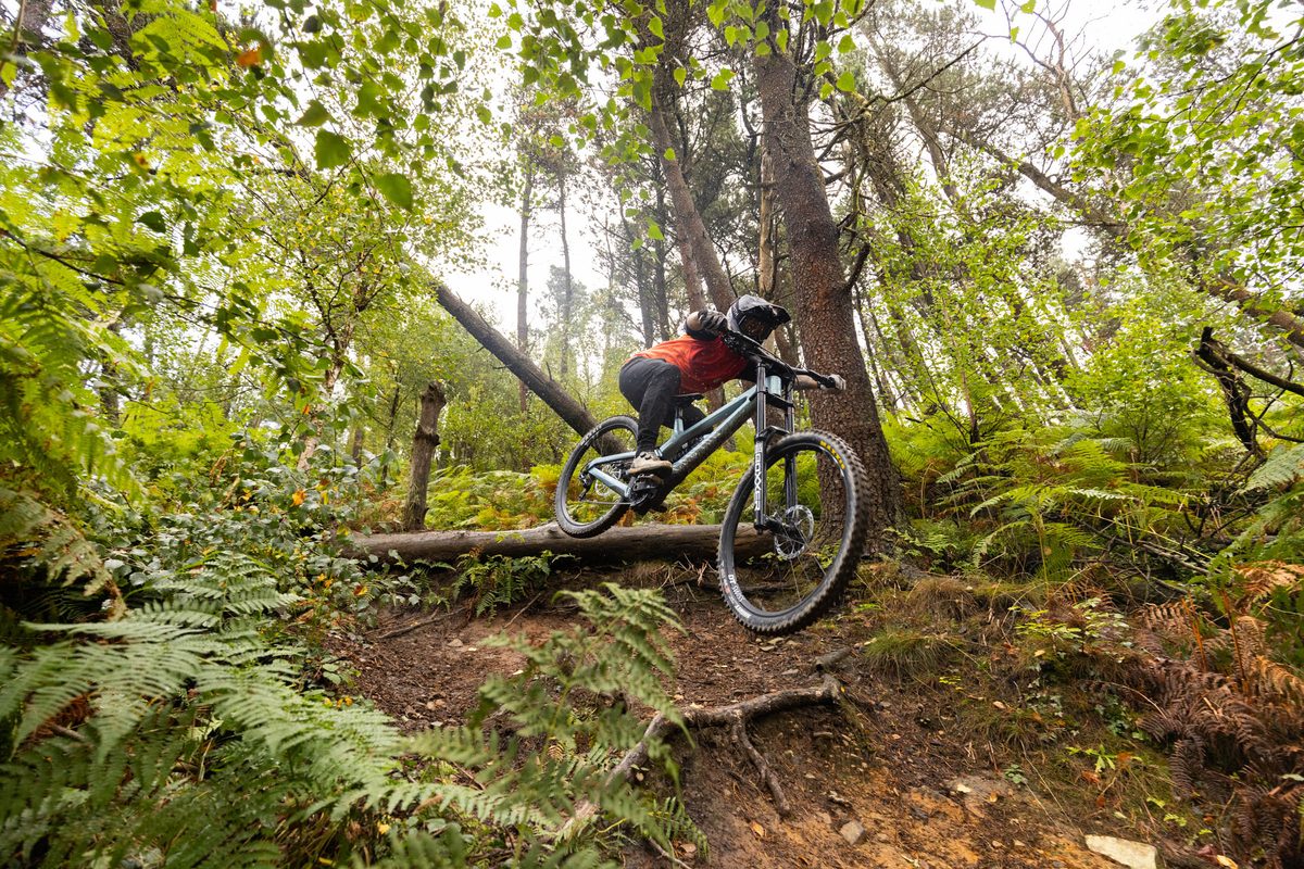 Best downhill mountain bikes 2026