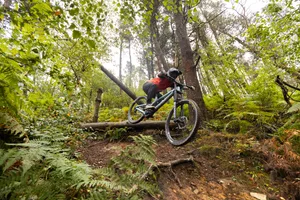 Canyon Sender CFR Team downhill mountain bike-20 Canyon Sender CFR Team downhill mountain bike ridden by male mountain biker on downhill trails
