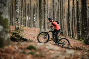 Orbea Rallon RS climbing shot Rob Weaver climbing on the Orbea Rallon RS-LTD eMTB.