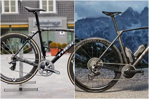 Domane history