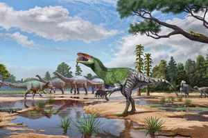 new megaraptor (2) An artist's illustraiton of the discovered dinosaur