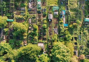 Elevated view over allotments in springtime Overhead view of an allotment