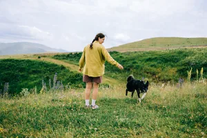 Woman hiking with her dog in a green meadow A dog with its owner on top of a hill