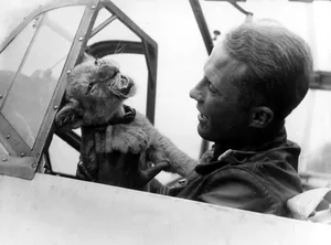 Werra, Franz von – Fliegerlegende mit Maskottchen Simba Franz von Werra with his mascot, the young lion "Simba" in the cockpit of his jet