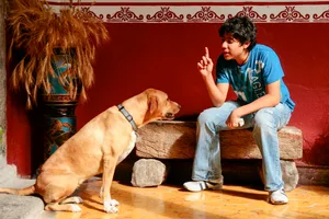 Boy (16-17) sitting on stone bench and gesturing to dog A person telling their dog off