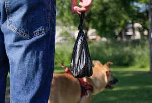 Poop bag Walking the dog, poop bag, cleaning