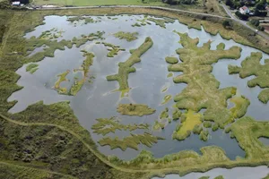 2.-an-impression-of-the-wetland-habitats-created-by-the-project-copyright-national-trust-peter-farmer-wayne-lagden-1 (1) An artist impression of the wetlands project