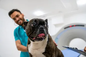 GettyImages-2159572569 A dog being inspected by someone at a hospital while it is in an MRI