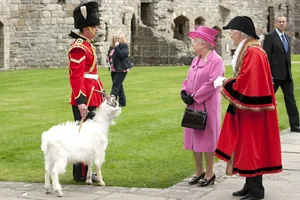 GettyImages-158117472 (1) The Queen meeting Billy the goat at her birthday.