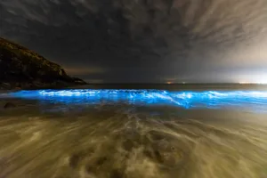 Bioluminescent Plankton Absolutely stunningly beautiful phenomenon at Dunraven Bay, Southerndown, South Wales. Tiny bioluminescent plankton are reacting to the warm temperature of the water thanks to the prolonged heatwave we've recently enjoyed.