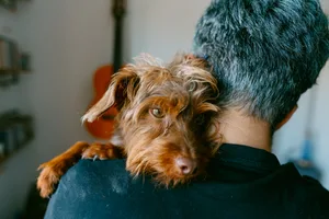 Rear view of a young woman hugging her dog A dog leaning on a person's shoulder looking sad