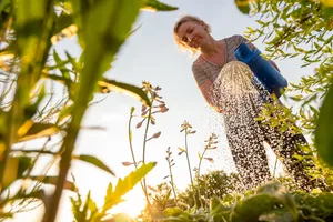 Candid smiling gardener takes care of the plants and flowers in the flowerbed while working in the domestic garden Keep your garden heathy while on holiday
