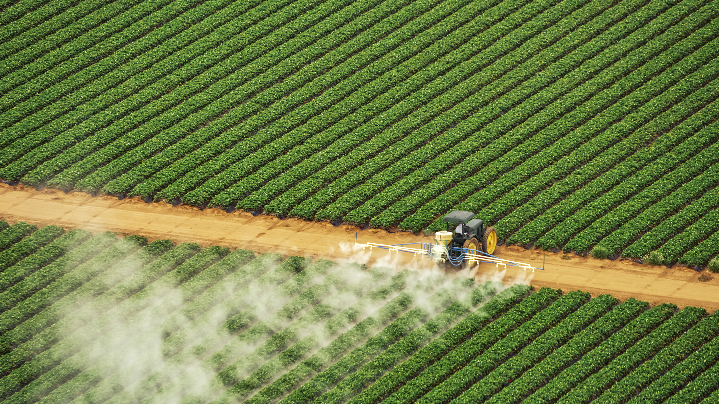 photo of Pesticides contain hundreds of chemicals that could boost breast cancer risk, new research finds image
