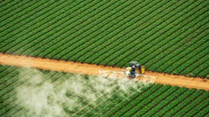 Tractor spraying fertilizer A tractor spreading pesticides on a large green fiield