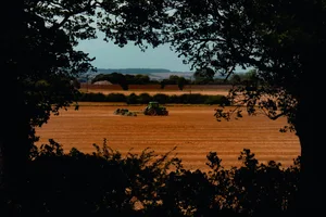 Tractor framed by trees Tractor framed by trees