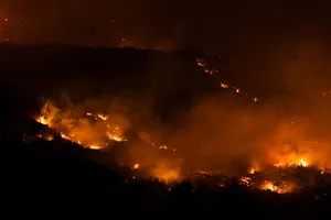 Wales Daily Life 2026 A wildfire blazes through Ynysfeio Forest, above the Welsh village of Treherbert in the Rhondda Fawr valley in South Wales on August 16, 2026. (Photo by Ryan Hiscott/Getty Images)