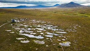 Flow Country Peatland Considered For World Heritage Status Biggest peatland bog flow country