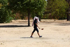 BRITAIN-WEATHER-CLIMATE-DROUGHT-HEATWAVE A walker protects themselves from the sun on the scorched grass of Hyde Park