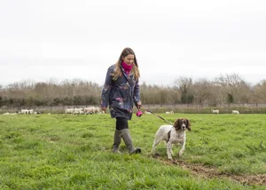 RKC Dog walking in countryside_2 Dog walking in countryside with dog walker