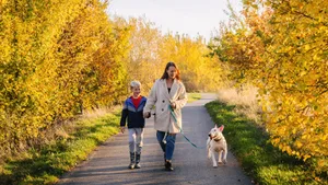 Landscape-bullterrier_park_walking_dogstrust1 Two people going for a walk with a dog down a country road