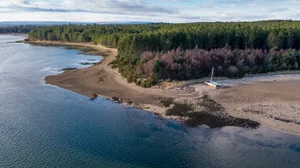 Drone image of Culbin Forest on Findhorn Bay, Scotland Drone image of Culbin Forest on Findhorn Bay, Scotland