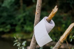 poop-outside Toilet roll in the forest, on a branch