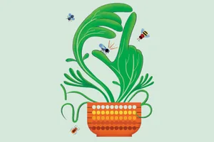 Plant Illustration of a plant with leaves that look like hands, insects are flying around it and a series of dots are on its pot