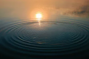 earth-heartbeat Photo of ripples along the surface of an otherwise still body of water
