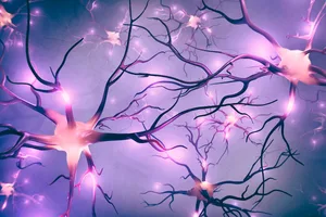 brain-cells An illustration on neurons firing.