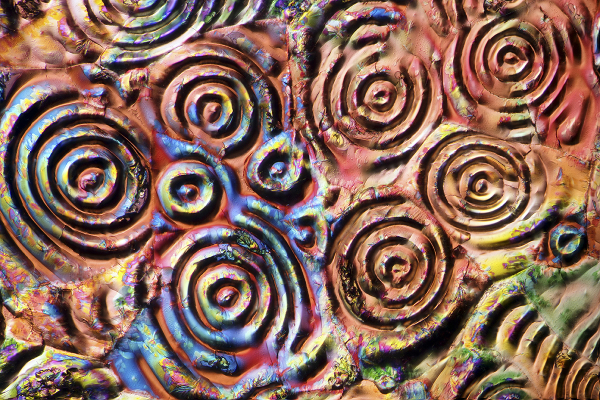 These might be the nine best science photos from the past 30 years