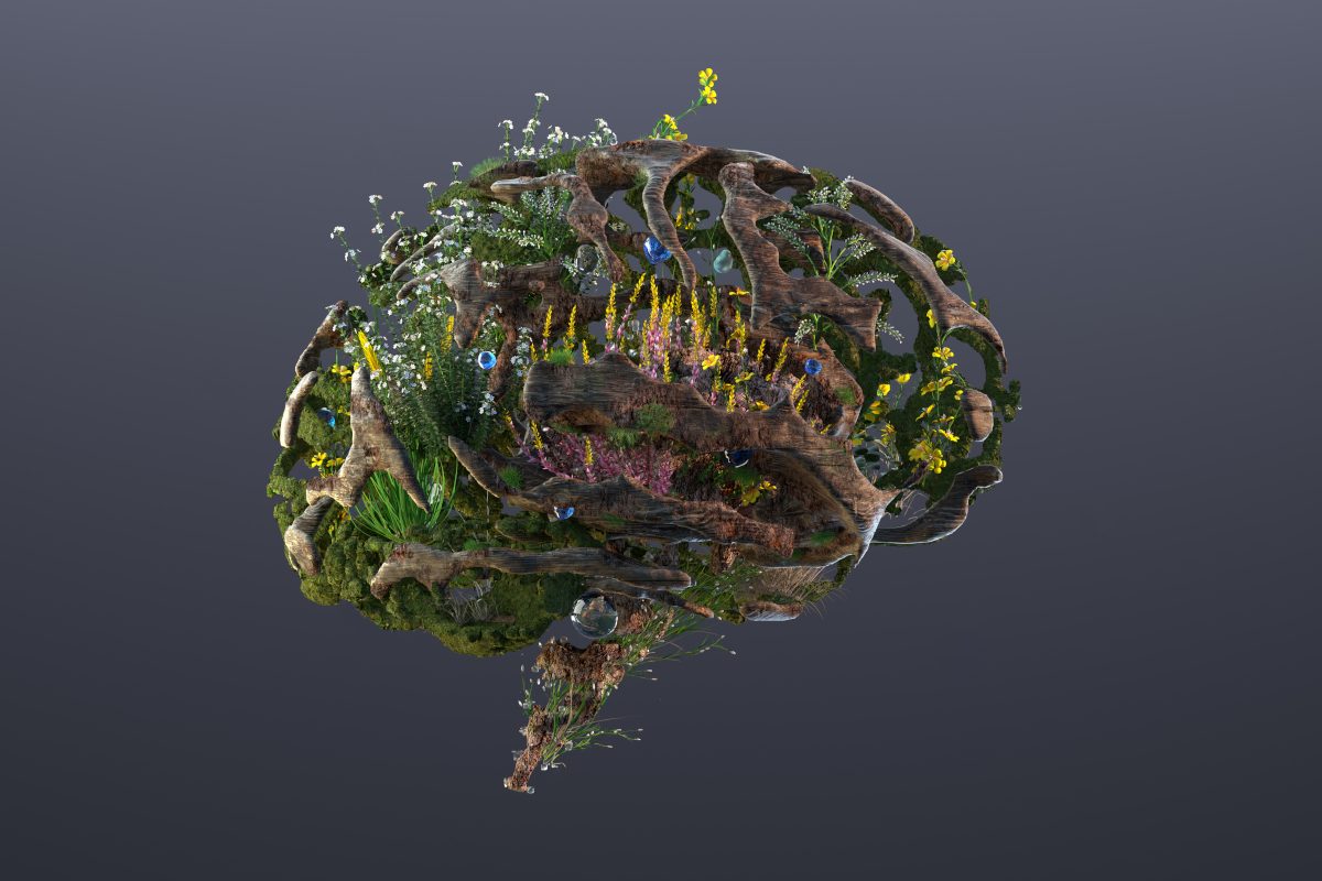 How to cut your dementia risk: 7 key lessons from the world’s most ...
