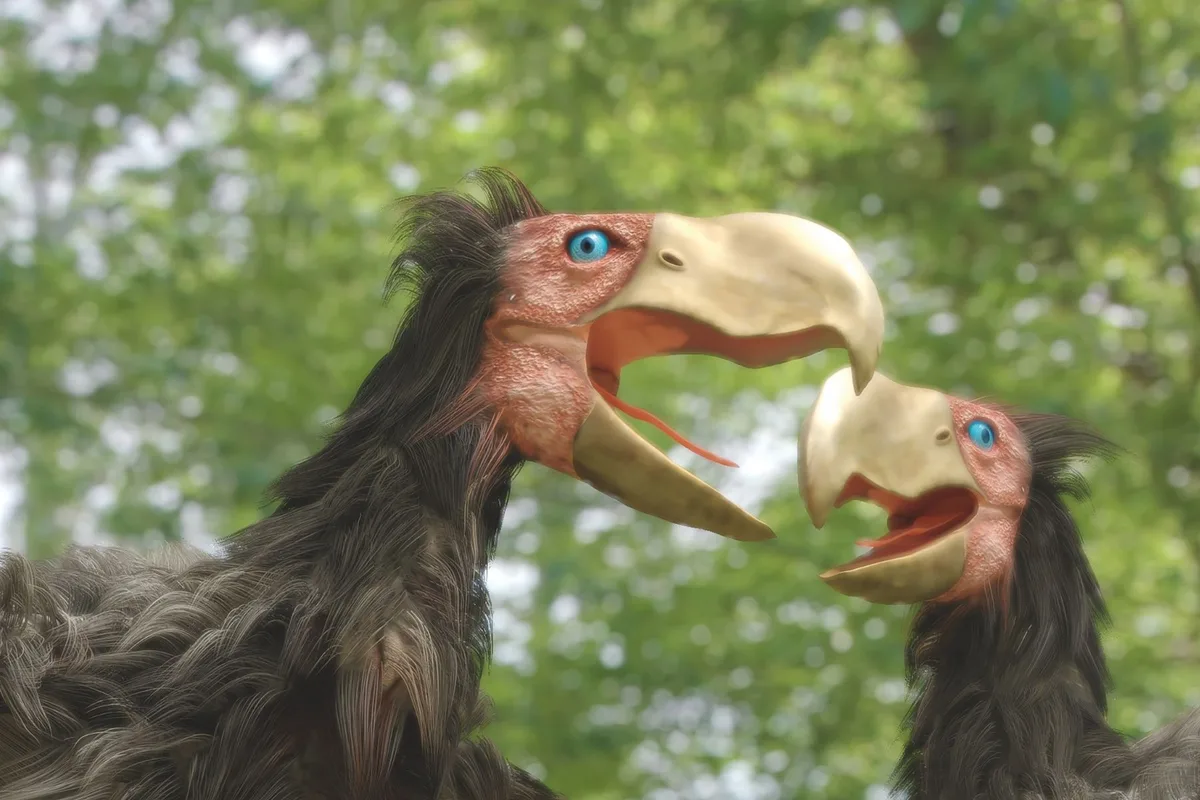 Terror Birds: The Fearsome Giant Birds That Ruled Earth | Level Up English Club