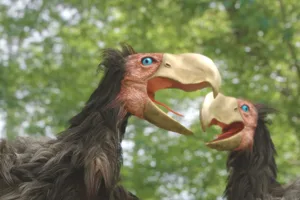 Massive dino bird CGI illustration of two giant prehistoric birds in a bit of a scrap