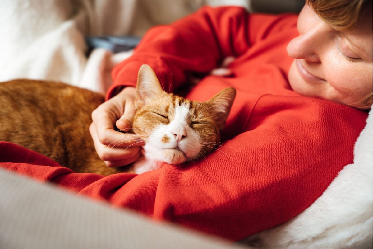 How to make any cat instantly love you, according to science