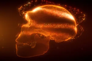 skull neanderthal skull