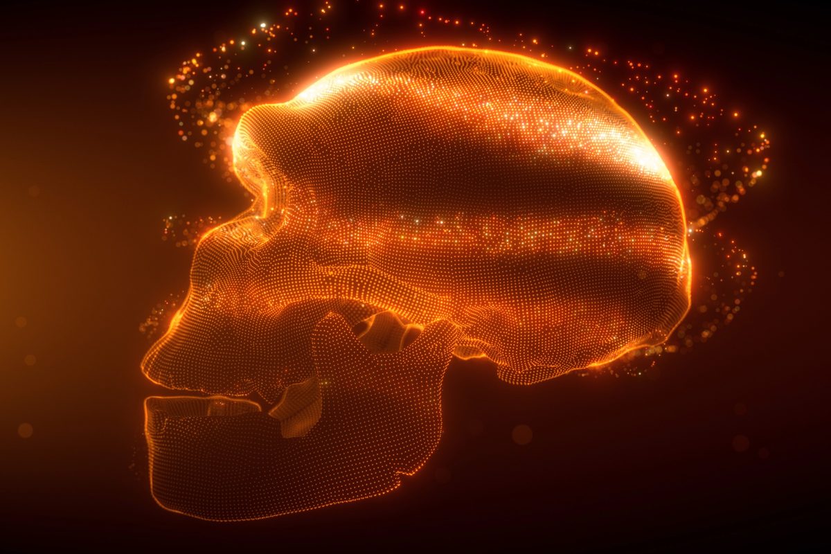 The Neanderthal extinction mystery just got even stranger