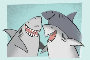 Sharks An illustration of three happy sharks on a turquoise background