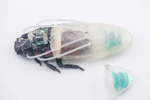 cyborg