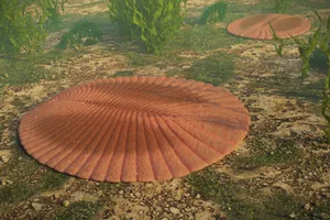 Ediacaran animals Large flat pancake like animal on the bottom of the sea