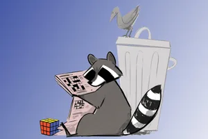 raccoon-puzzles Illustration of a raccoon holding a newspaper open on the puzzles page. A completed Rubik's Cube is on the floor beside the raccoon