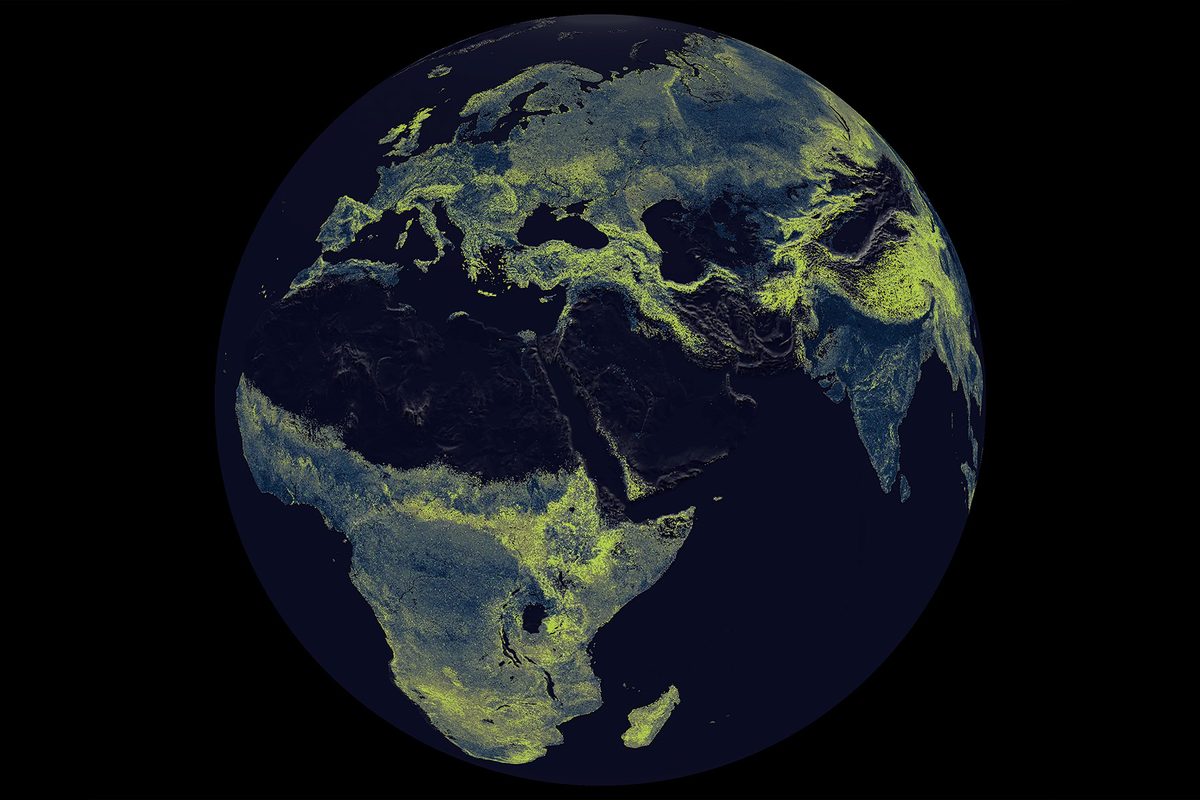 Earth's vast fungal networks are unravelling fast – and scientists are scrambling to understand why | BBC Science Focus Magazine