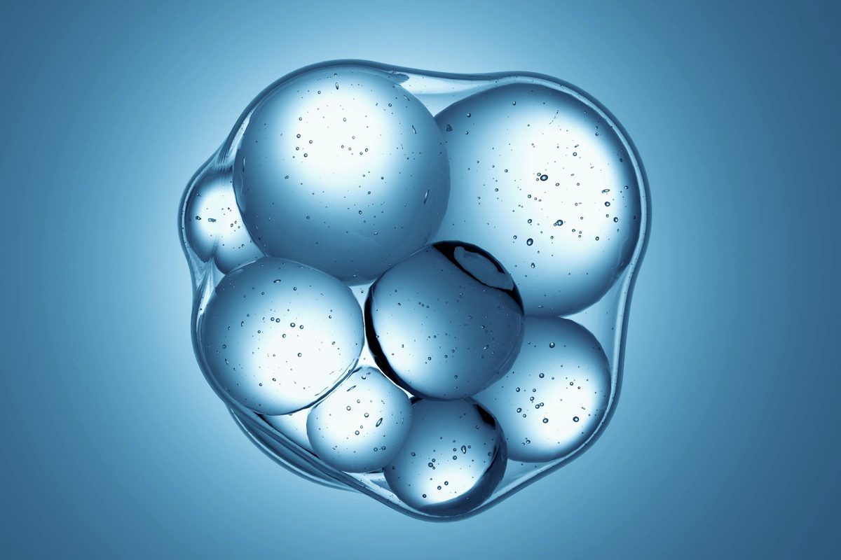 This synthetic cell is a ‘meaningful’ step towards building life from scratch
