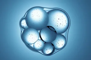 synthetic cell