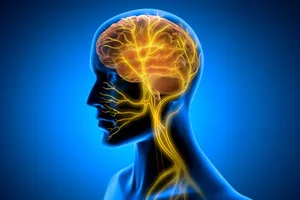 vagus-nerve-head X Ray style 3D rendering of Vagus Nerve Stimulation with glowing nerve fibres.