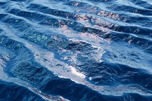 Sea the ocean