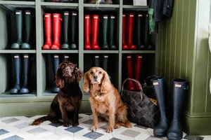 rothay-manor-boot-room Two dogs sat in front of shelves of wellie boots